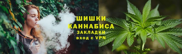 спайс Дмитриев