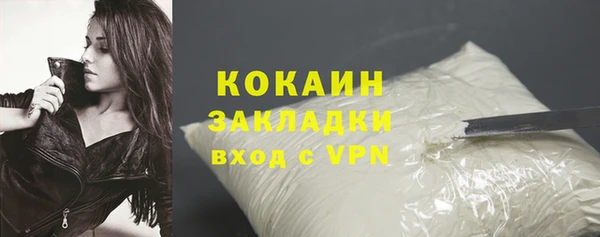 спайс Дмитриев